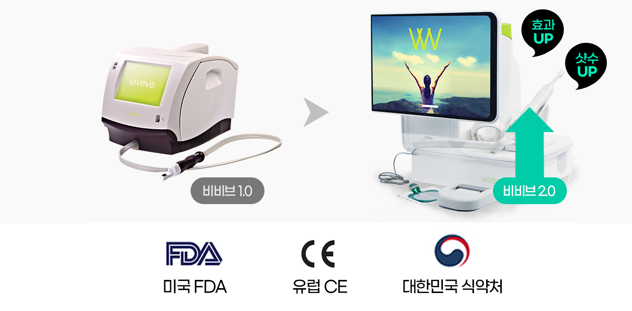 비비브