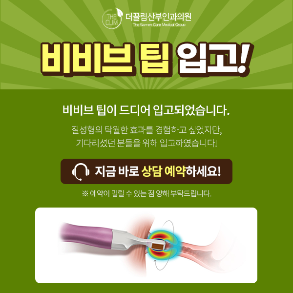 비비브 팁